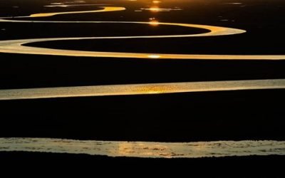 Handy Tips for Improving Your Cash Flow