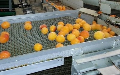 How to Reduce Your Tax Bill