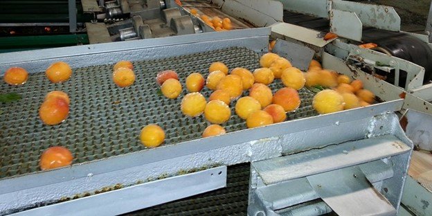 How to Reduce Your Tax Bill