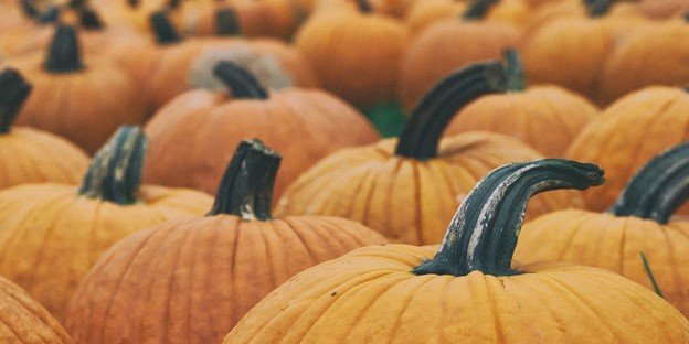 Grow Your Business by Raising Your Cash Potential